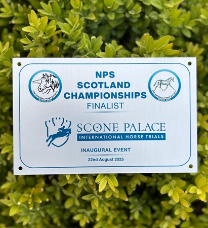Stable Plaques 2025